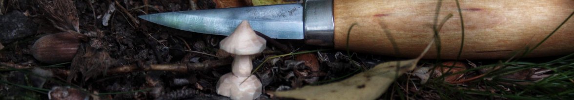 Mora carving knife and mushroom